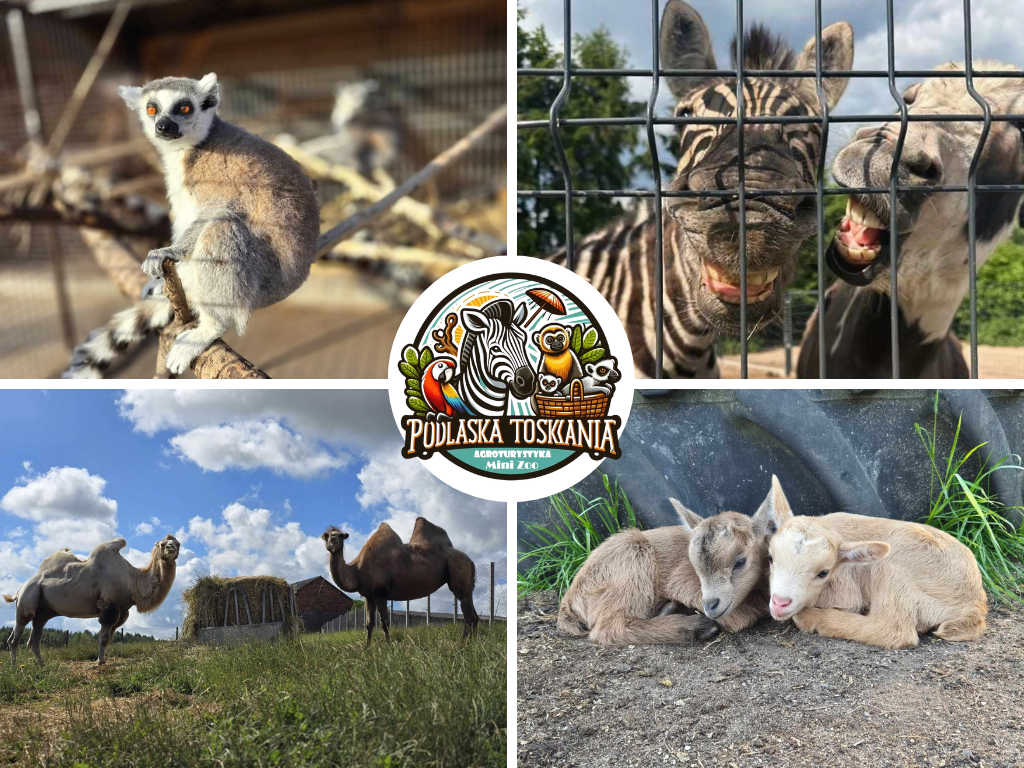 Podlaska Toskania (mini zoo)